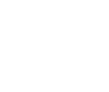 Silver Fox Global